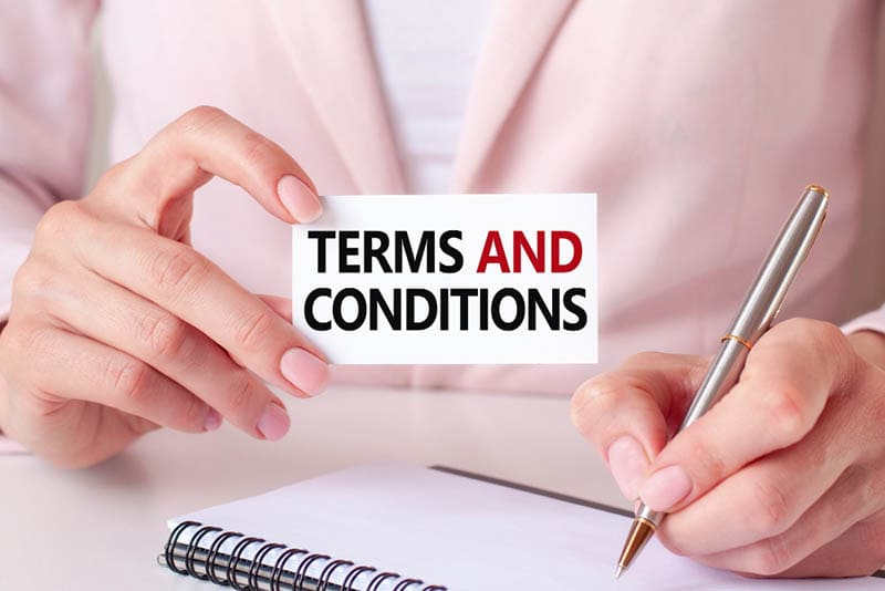 What are the Terms and Conditions on a website?